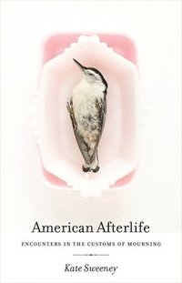 bokomslag American Afterlife