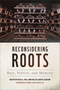 bokomslag Reconsidering Roots