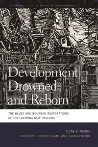 bokomslag Development Drowned and Reborn
