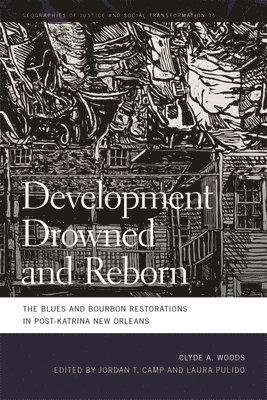 Development Drowned and Reborn 1