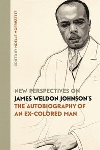 bokomslag New Perspectives on James Weldon Johnson's &quot;The Autobiography of an Ex-Colored Man