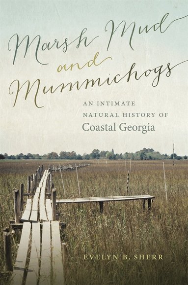 Evelyn B. Sherr - Marsh Mud and Mummichogs, Häftad