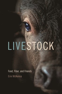 Livestock 1