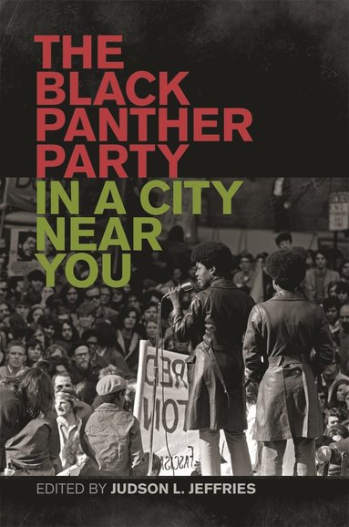 bokomslag Black Panther Party in a City near You