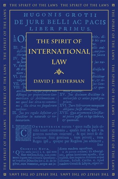 bokomslag Spirit of International Law