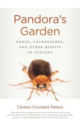 Clinton Crockett Peters - Pandora's Garden, Häftad