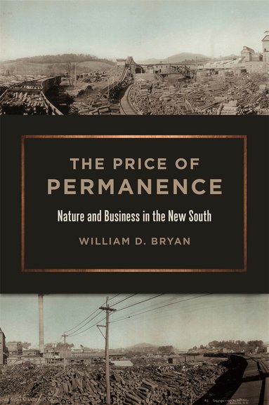 William D. Bryan - Price of Permanence, Inbunden