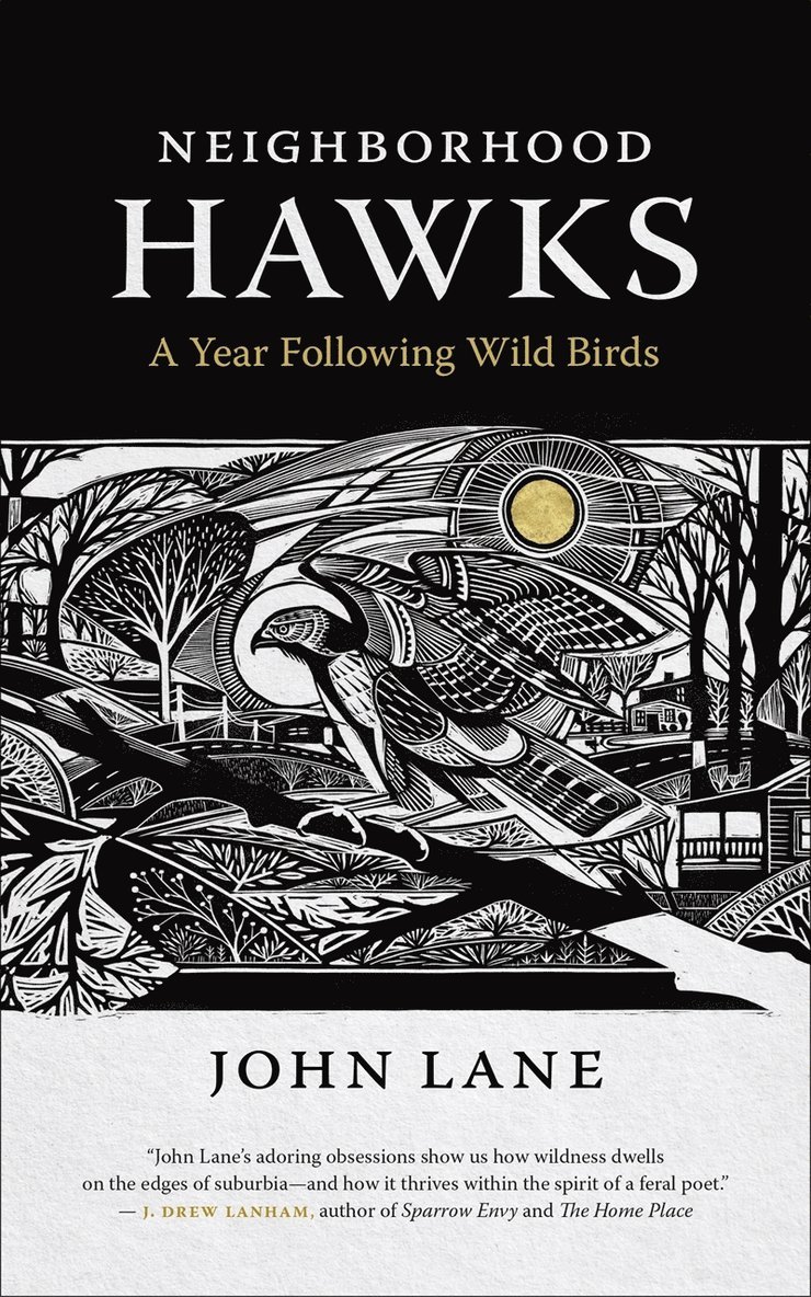 John Lane - Neighborhood Hawks, Häftad