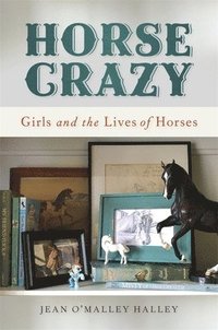 bokomslag Horse Crazy