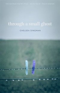 bokomslag Through a Small Ghost