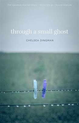 bokomslag Through a Small Ghost