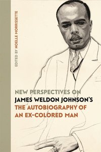 bokomslag New Perspectives on James Weldon Johnson's The Autobiography of an Ex-Colored Man