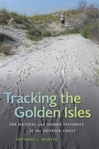 bokomslag Tracking the Golden Isles