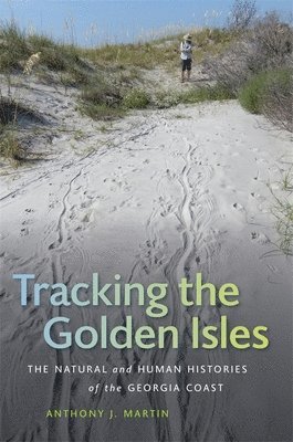 Tracking the Golden Isles 1