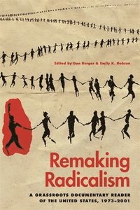 bokomslag Remaking Radicalism