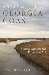 bokomslag Saving the Georgia Coast