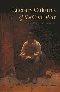 bokomslag Literary Cultures of the Civil War