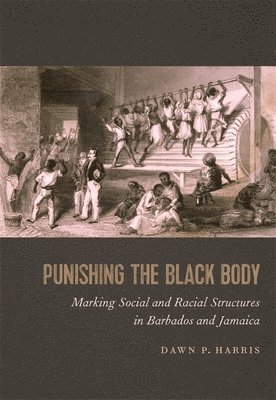 bokomslag Punishing the Black Body