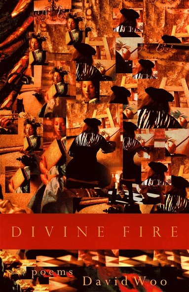 bokomslag Divine Fire