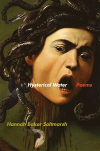bokomslag Hysterical Water