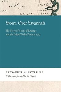 bokomslag Storm over Savannah