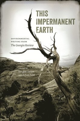 This Impermanent Earth 1