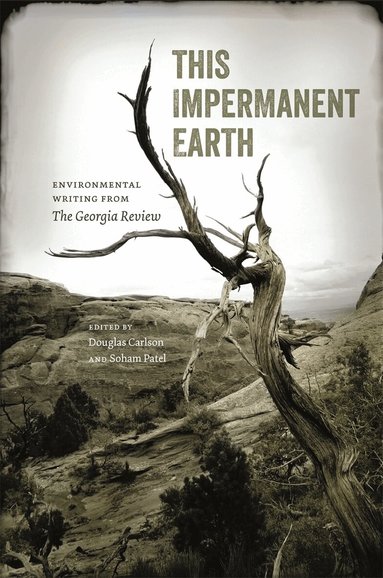 Douglas Carlson, Soham Patel - This Impermanent Earth, Häftad