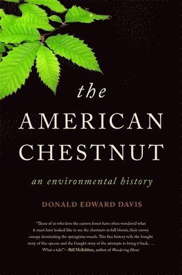 bokomslag The American Chestnut