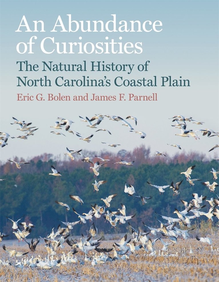 Eric G. Bolen, James F. Parnell, Eric G Bolen, James F Parnell - Abundance of Curiosities, Inbunden