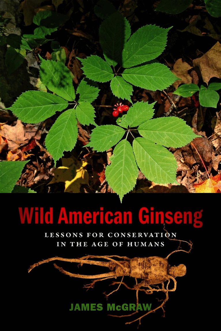 James McGraw, James (Professor of Biology) McGraw - Wild American Ginseng, Häftad