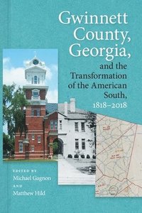 bokomslag Gwinnett County, Georgia, and the Transformation of the American South, 1818-2018