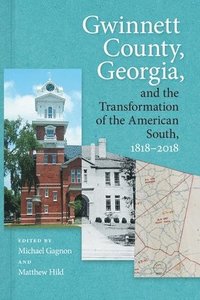 bokomslag Gwinnett County, Georgia, and the Transformation of the American South, 18182018