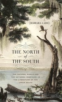 bokomslag The North of the South