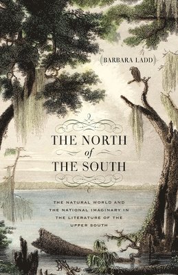 The North of the South 1