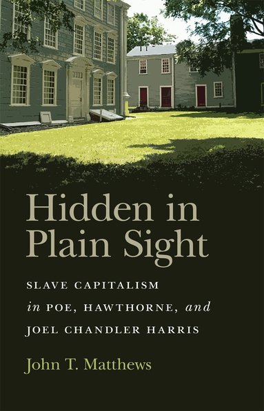 John T. Matthews - Hidden in Plain Sight, Häftad