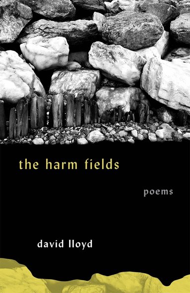 David Lloyd - Harm Fields, Häftad