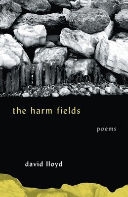 The Harm Fields 1