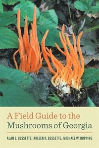 bokomslag A Field Guide to the Mushrooms of Georgia