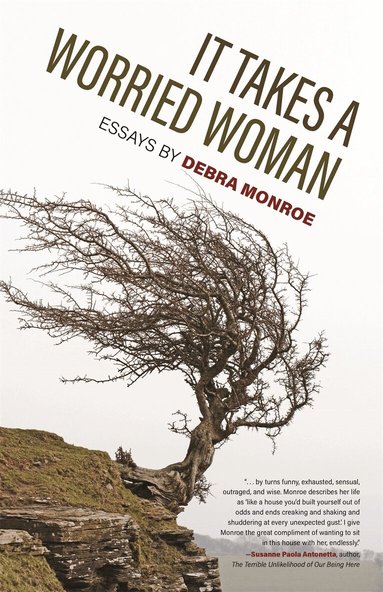 Debra Monroe - It Takes a Worried Woman, Häftad