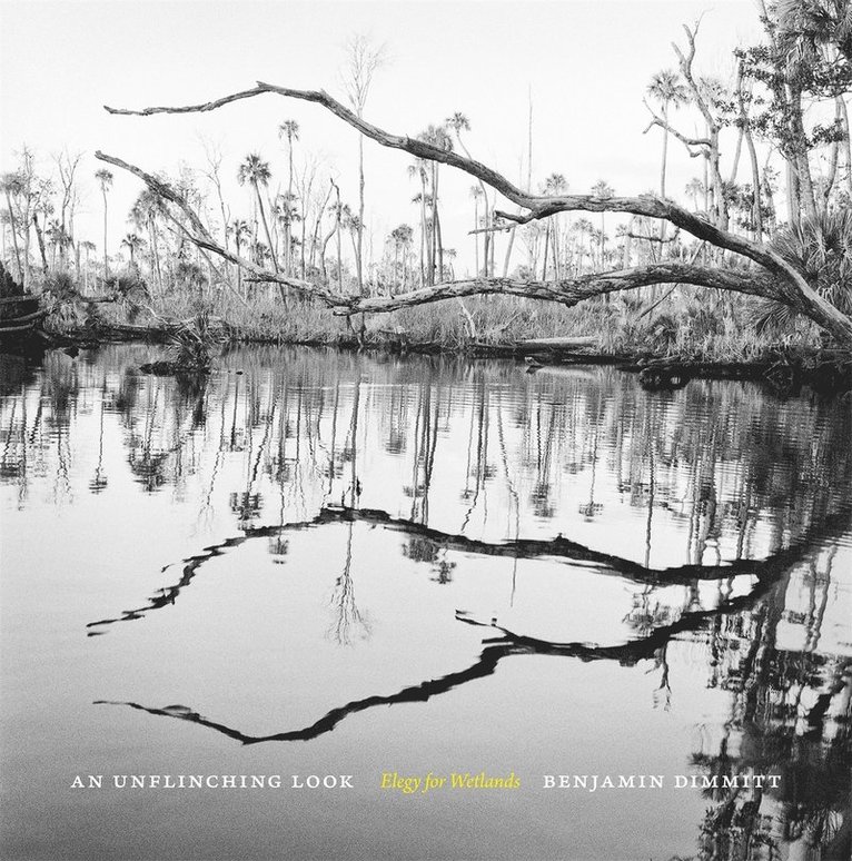 Benjamin Dimmitt - Unflinching Look, Inbunden