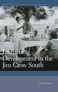 bokomslag Disturbing Development in the Jim Crow South