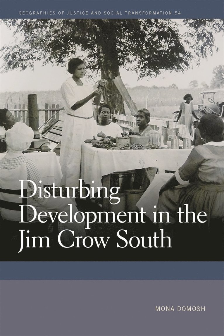 Mona Domosh - Disturbing Development in the Jim Crow South, Inbunden