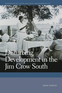 bokomslag Disturbing Development in the Jim Crow South