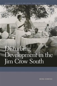 bokomslag Disturbing Development in the Jim Crow South