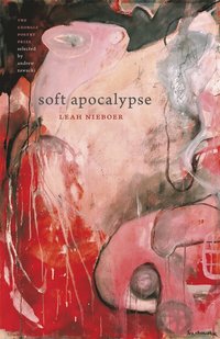 bokomslag Soft Apocalypse