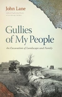 bokomslag Gullies of My People