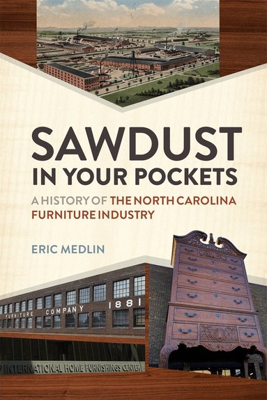 Eric Medlin - Sawdust in Your Pockets, Inbunden