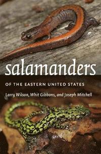 bokomslag Salamanders of the Eastern United States