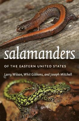 Salamanders of the Eastern United States 1