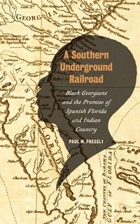 bokomslag A Southern Underground Railroad